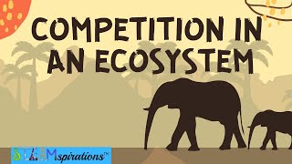 Competition in an Ecosystem Mutualism Intraspecific Interspecific Relationships [upl. by Tronna]