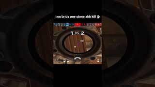 2 birds one stone momentrainbowsixsiege r6funny r6siege r6 r6moments [upl. by Nevek19]