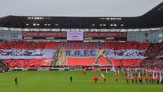 Royal Antwerp FC  Beerschot Tifo [upl. by Eisac134]