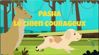 PASHA LE CHIEN COURAGEUX  HISTOIRE POUR PETITS  CONTES EN FRANCAIS  FRENCH FAIRY TALES [upl. by Fedora]