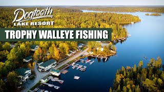 Trophy Walleye Fishing at Dogtooth Lake Resort  Kenora Ontario [upl. by Geddes]