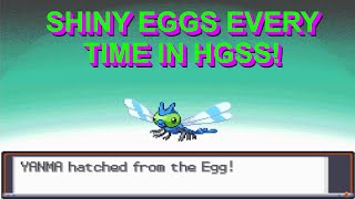 Shiny Eggs made easy in HGSSHow to RNG Egg PID and IVs in HGSS [upl. by Rurik632]