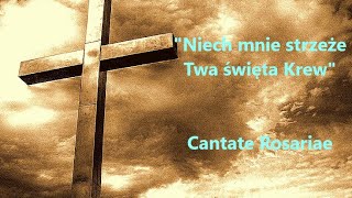 Niech mnie strzeże Twa święta Krew  Cantate Rosariae [upl. by Ltney]