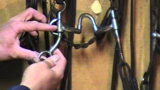 Quick Tip Which Bits to use on young horses [upl. by Ned]