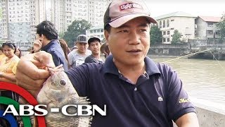 Bandila Mga isdang nahuhuli sa Pasig River dapat munang suriin [upl. by Aicatsue806]