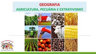 Agricultura Pecuária e Extrativismo [upl. by Eessej931]