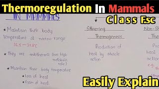 Thermoregulation In Mammals Fully Explained In Urdu Hindi  Class 12 Biology [upl. by Dao]