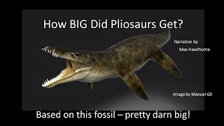 How BIG Did Pliosaurs Get [upl. by Cherye]