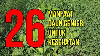 26 Manfaat Daun Genjer [upl. by Somar]