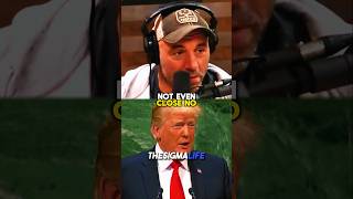 Rogan on Trump Schooling CNN Reporter [upl. by Lillis15]