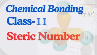 Steric number class 11 hybridization valencebondtheory [upl. by Nais278]