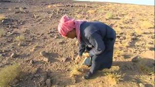 Ancient Roots Modern Medicine  Jordan The Middle East [upl. by Lillis198]