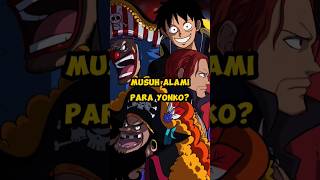 Siapa Musuh Alami Yonko onepiece anime yonko luffy shanks kaido shirohige fyp shorts [upl. by Naoh492]