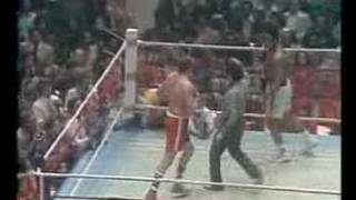 Muhammad Ali vs Chuck Wepner Round 15 final round 1975 [upl. by Hill317]