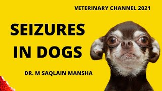 Veterinary Neurology The Causes Clinical Signs Diagnosis And Treatment Of Seizures In Dogs [upl. by Notnilc]