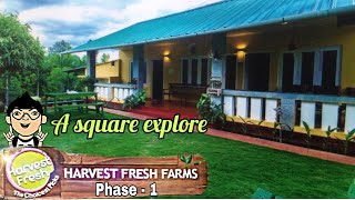 Harvest Fresh Farms  organic farm visit and stay near cumbum  Phase 1  A Square explore [upl. by Kacey]