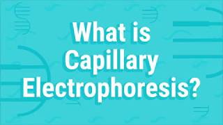 What Is Capillary Electrophoresis [upl. by Irrehs]