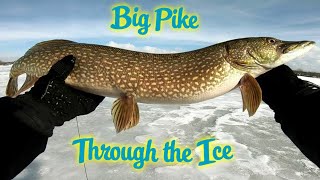 Ice Fishing Sandy Pond 2020  Big Pike and Dinky Perch [upl. by Netsreik40]