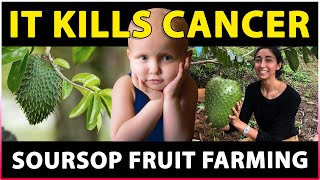 Soursop Fruit Farming  Natural medicines for Cancer [upl. by Yesac]