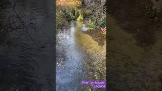 YT Shorts  Chalk Stream river as seen on BBC Series Wild Isles by David Attenborough 2023 [upl. by Sheelah]