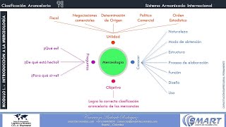 CLASIFICACIÓN ARANCELARIA [upl. by Nigem]