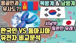 한국인 유전자 분석으로 보는 우리 정체성 amp 동북아시아 역사 [upl. by Ophelia]