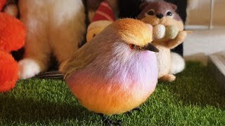 Needle Felt Bird Tutorial 화채작앵 만들기 [upl. by Aninotna]