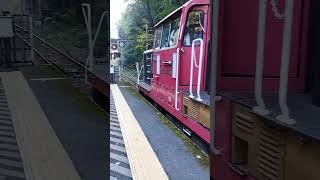 koto city arashiyama torroko train [upl. by Neelhtak787]