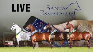 Live Haras Santa Esmeralda  ParaopebaMG [upl. by Lodge]