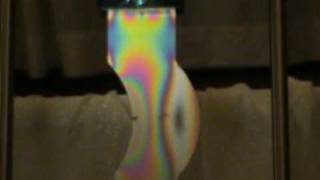 Photoelasticity Photoelastic test using PhotoStress Analysis System [upl. by Lenka751]