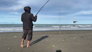 Fishing in wairau diversion New Zealand South Island [upl. by Walker248]