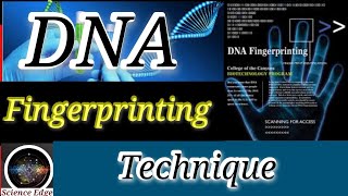 DNA Profiling DNA Testing  DNA fingerprinting How DNA Fingerprinting work stepbystep process [upl. by Enrobyalc486]