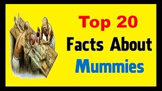 Mummies  Facts [upl. by Eiznil]