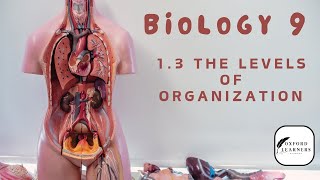 9th Biology  Chapter 1  13 The Levels of Organization [upl. by Stirling]