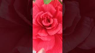 Another try on Giant Paper flower giantflowertutorial crepepaperflowersshorts PaperSaiarts [upl. by Ziana234]