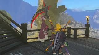 The Legend of Zelda Tears of the Kingdom  Episode 69  Hebra region shrines I [upl. by Aitital]