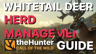 How To Use Herd Management on Great One WHITETAIL DEER Grind on the Hunter Call of the Wild [upl. by Gertruda945]