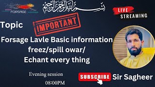 Forsage Lavle Basic information freezspill owarEchant every thing [upl. by Nevai]