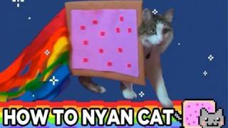 HOW TO NYAN CAT [upl. by Efeek]