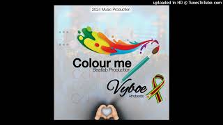 Vyboe  Colour me Beatlab music production Rema Davido Tyla Afrobeats [upl. by Janeczka]