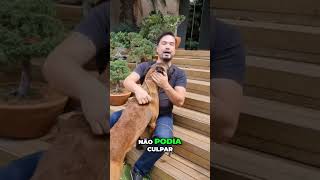 A Verdade Sobre Adotar um Cão Pense Antes [upl. by Dnomsad123]