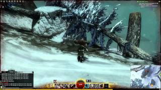 Guild Wars 2 Snowden Drifts Vista  Isenfall Gullies [upl. by Auohs499]