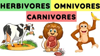 Herbivores carnivores and omnivores  Animals and their food  Eating habits of animals herbivores [upl. by Seana85]