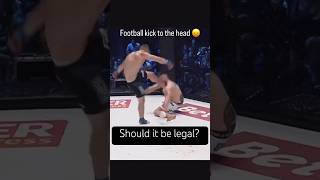 Head Kick To A Grounded Opponent In MMA shorts headkicks [upl. by Dobb]