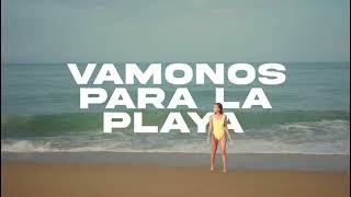 Yei Flow vamos para la playa video Lyric [upl. by Debi]