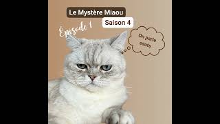 S0401  Le saut du chat [upl. by Nywroc]