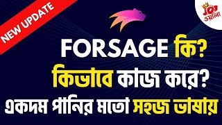 FORSAGE কী ❓️ এটা কিভাবে কাজ করে❓️WHAT IS FORSAGE  FORSAGE FULL PLAN [upl. by Kulseth]