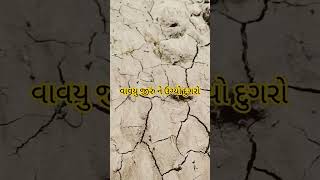 વાવયુ જીરું ને ઉગ્યો દુગરો kisan agriculture farmer cumin [upl. by Grenier704]