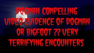 DOGMAN COMPELLING VIDEO EVIDENCE OF DOGMAN OR BIGFOOT  VERY TERRIFYING ENCOUNTERS [upl. by Amil]