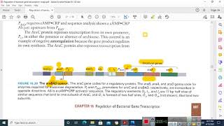 ARABINOSE OPERON in Malayalam [upl. by Raamal]